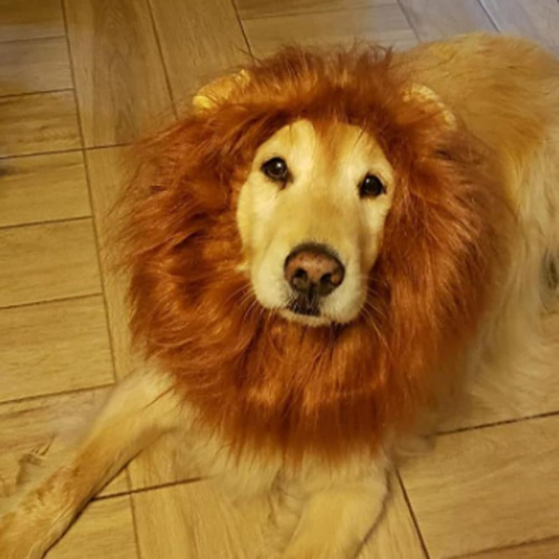 Lion Costume, Costumes for Medium Large Dogs, Lion Mane, Halloween Costumes, Lion Mane for , Fits Size 19"- 29"