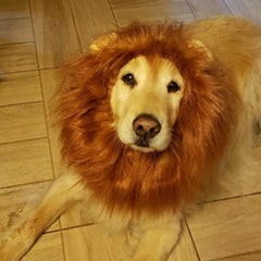 Lion Costume, Costumes for Medium Large Dogs, Lion Mane, Halloween Costumes, Lion Mane for , Fits Size 19"- 29"