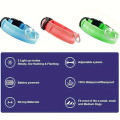 Nylon LED Night Safety Flashing Glow in the Dark Dog Leash Dogs Luminous Fluorescent Pet Dog Collar