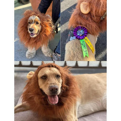 Lion Costume, Costumes for Medium Large Dogs, Lion Mane, Halloween Costumes, Lion Mane for , Fits Size 19"- 29"